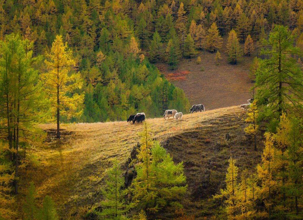 Photograph by Леонтьев Константин