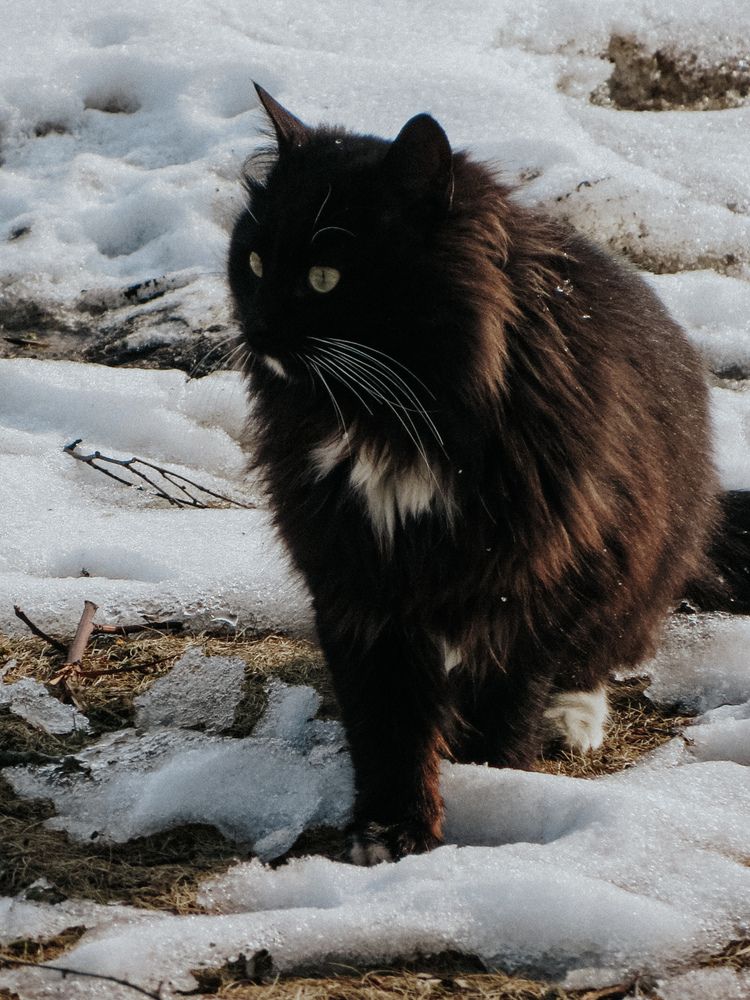 Photograph by Александра