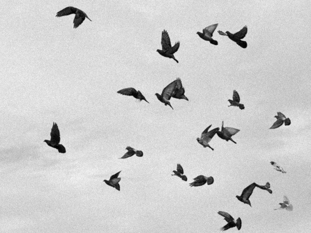 Photograph by Евгений Фролов