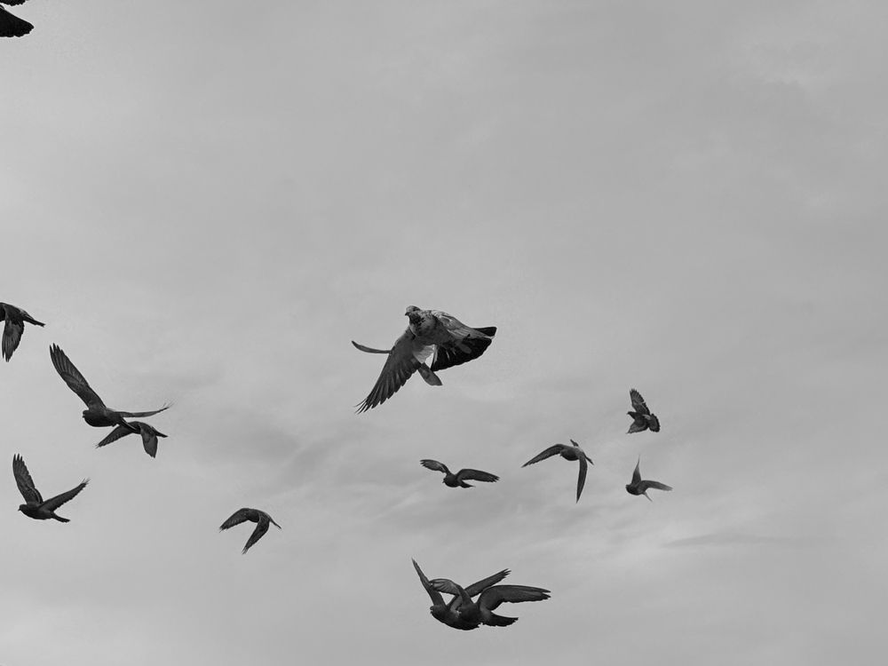 Photograph by Евгений Фролов