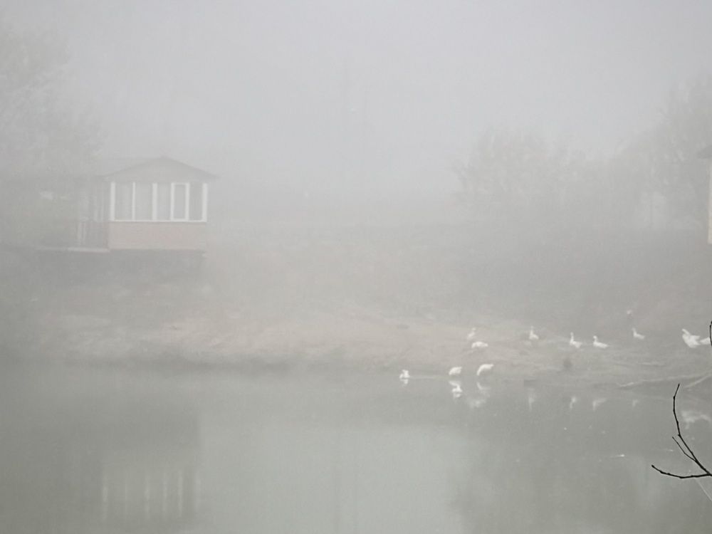 Photograph by Татьяна Семёнова