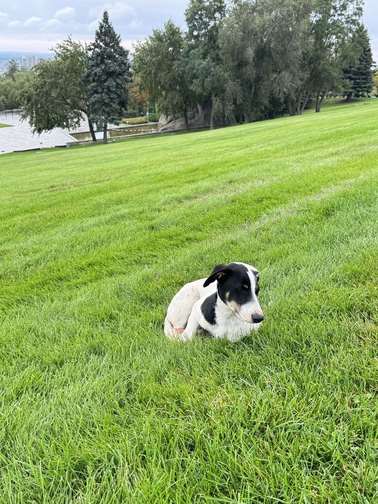 Photograph by Татьяна Семёнова