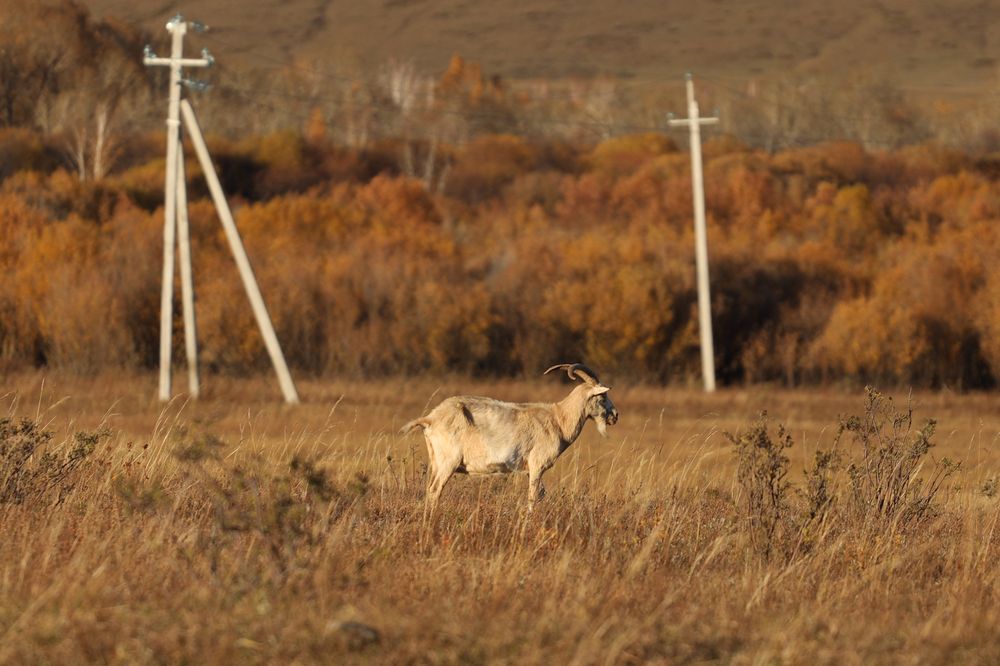 Photograph by Aleksey Maevskiy