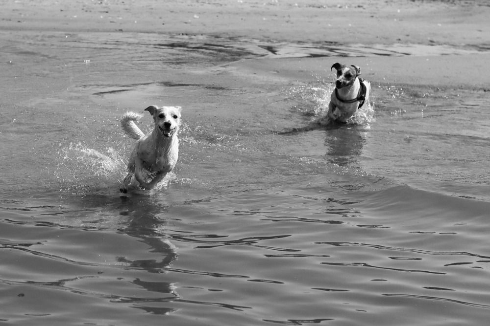 Photograph by Наталья Юденкова