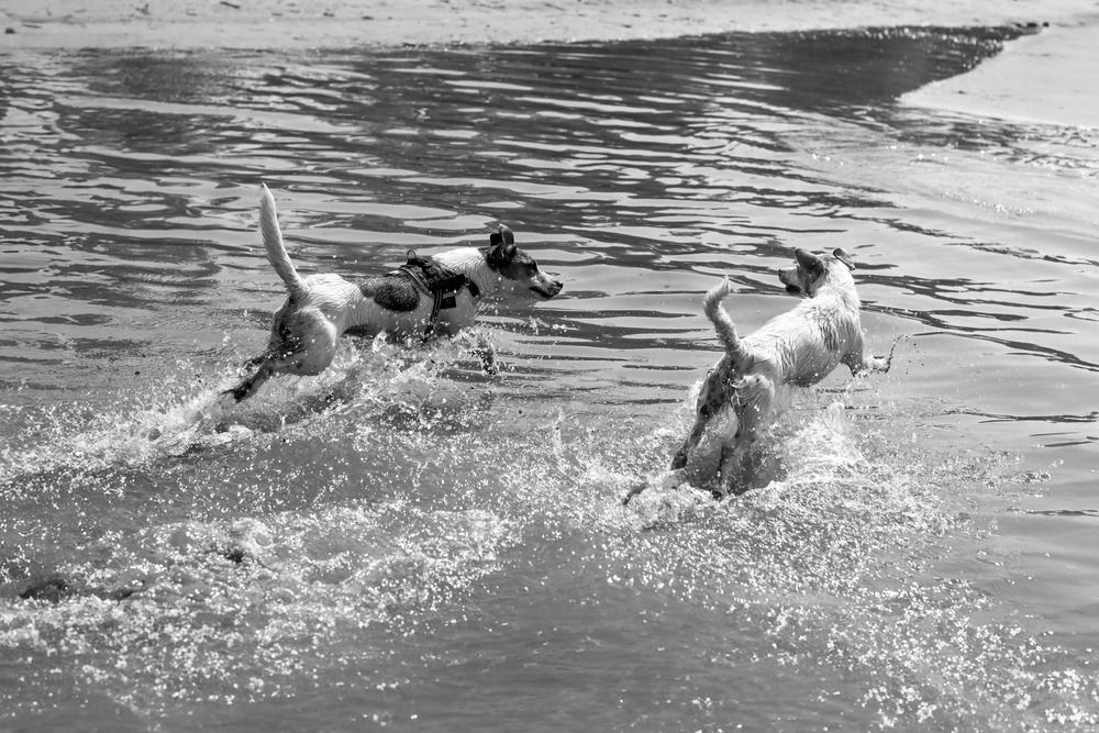 Photograph by Наталья Юденкова