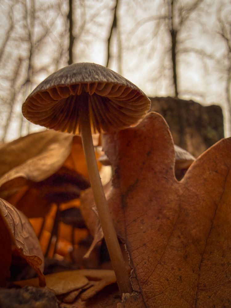 Photograph by Евгений Фролов