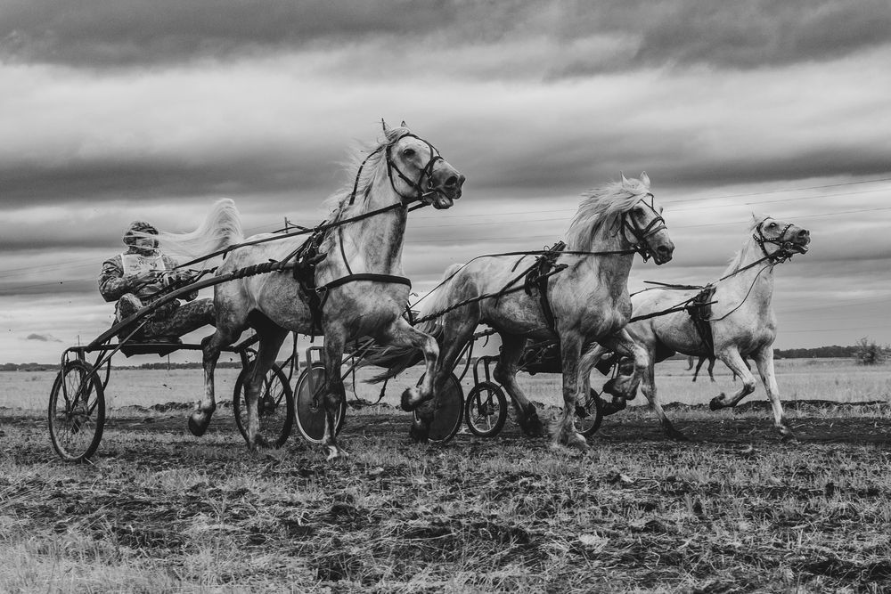 Photograph by Александра Токарева