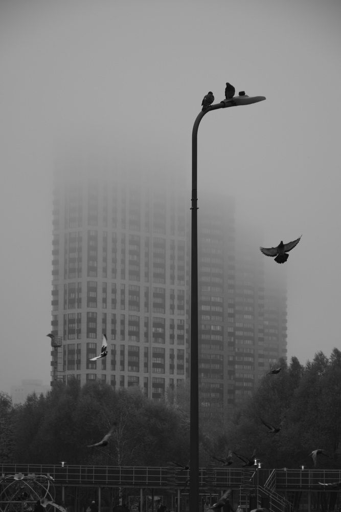 Фотография автора Maria Yakovleva