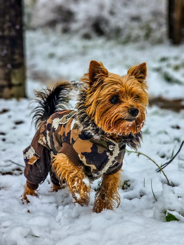 Photograph by Сергей Кесаев