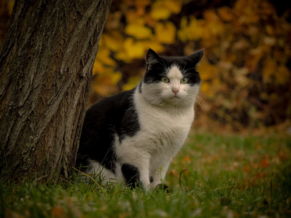 Photograph by Игорь Сухаревич