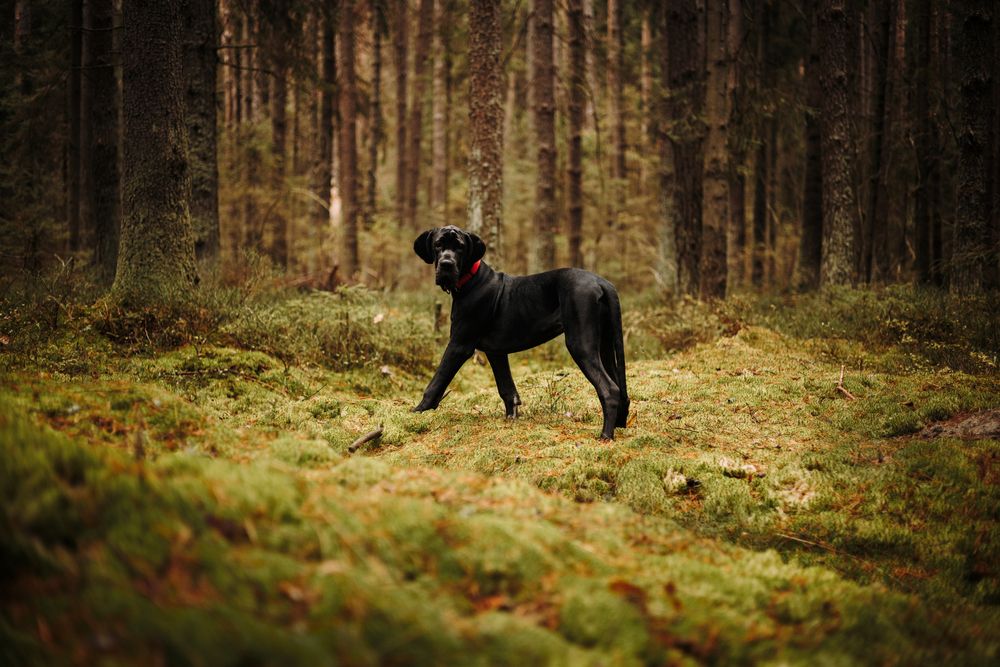 Photograph by Екатерина Воронина