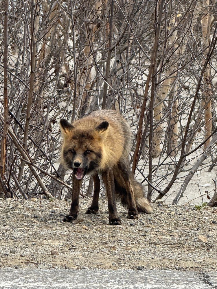 Фотография автора Наталья Вертугина
