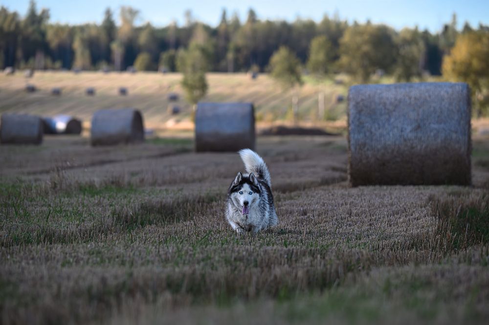 Photograph by Ирешева Мария