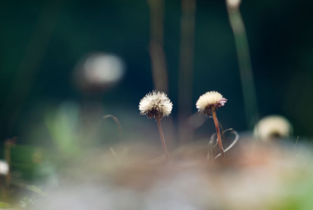 Photograph by Юлия Лебедева
