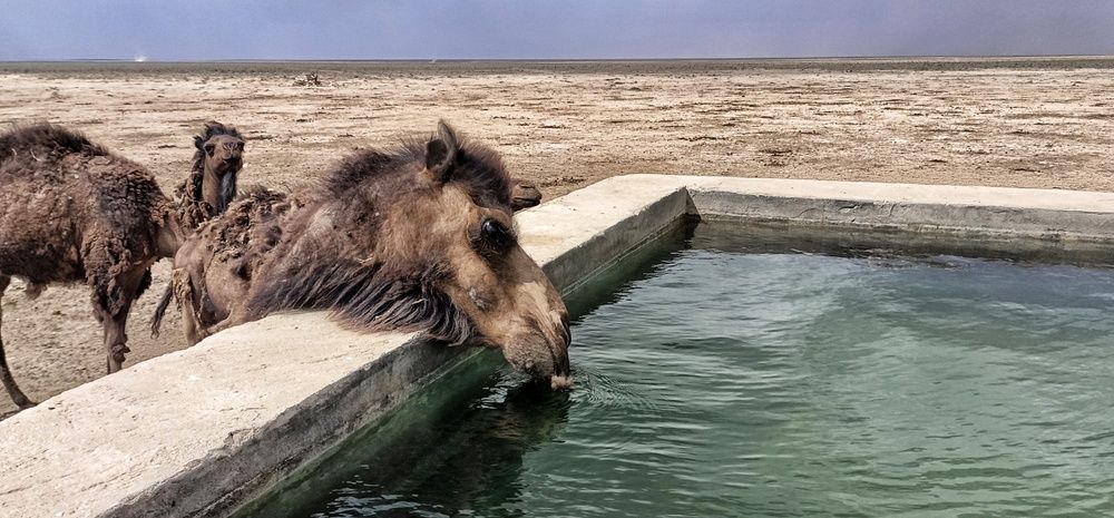 Photograph by Мирослава Сурженко