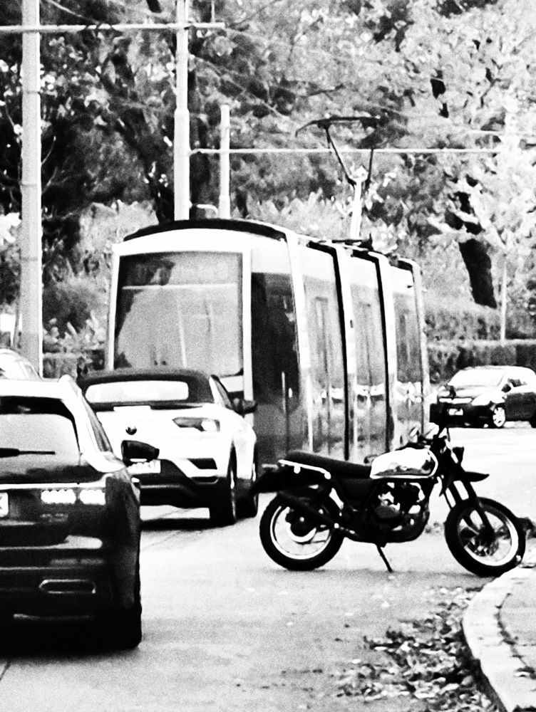 Photograph by Natalia