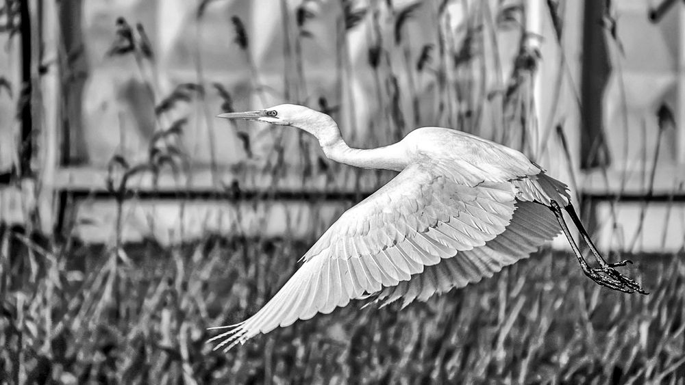 Красивый полёт