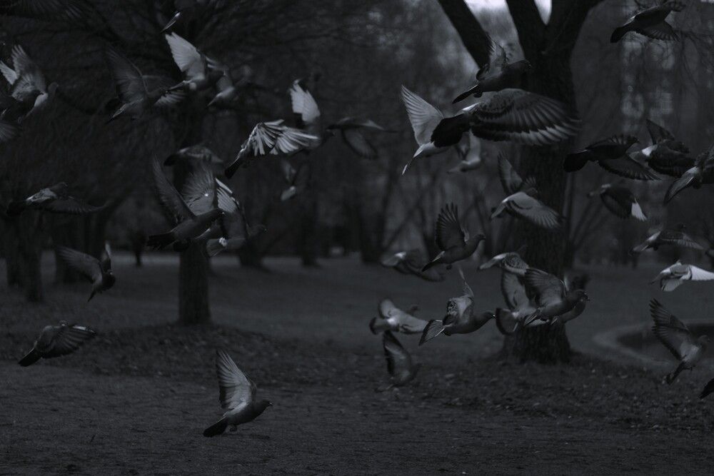 Photograph by EKATERINA SOKOLOVA