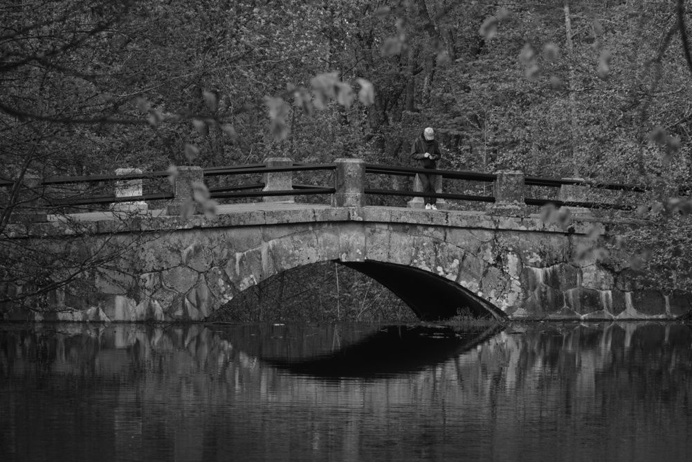 Photograph by Ekaterina Barashkova