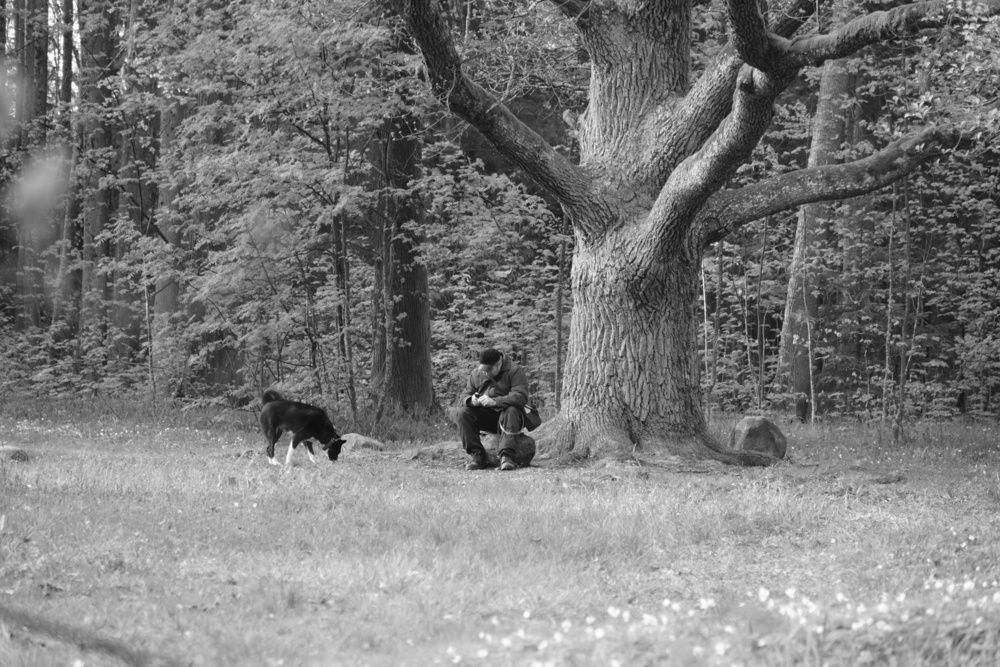 Photograph by Ekaterina Barashkova