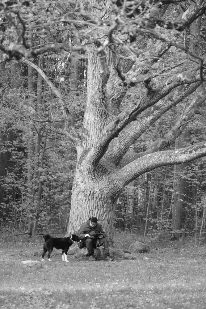 Photograph by Ekaterina Barashkova