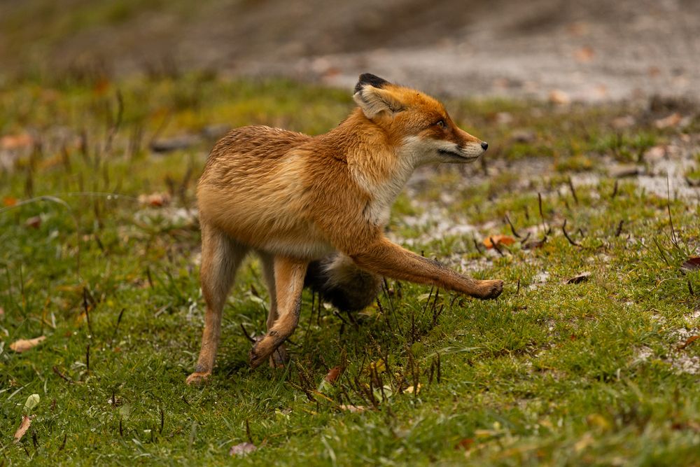 Photograph by Дмитрий Ефимов