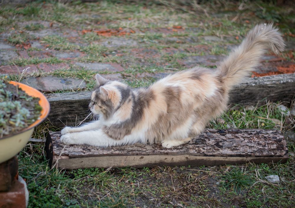 Photograph by Alexandra Mazur