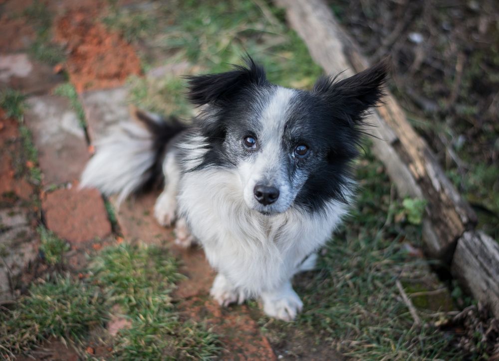 Photograph by Alexandra Mazur