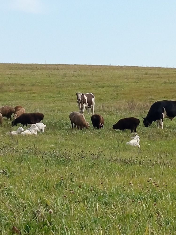 Photograph by Екатерина Казырицкая