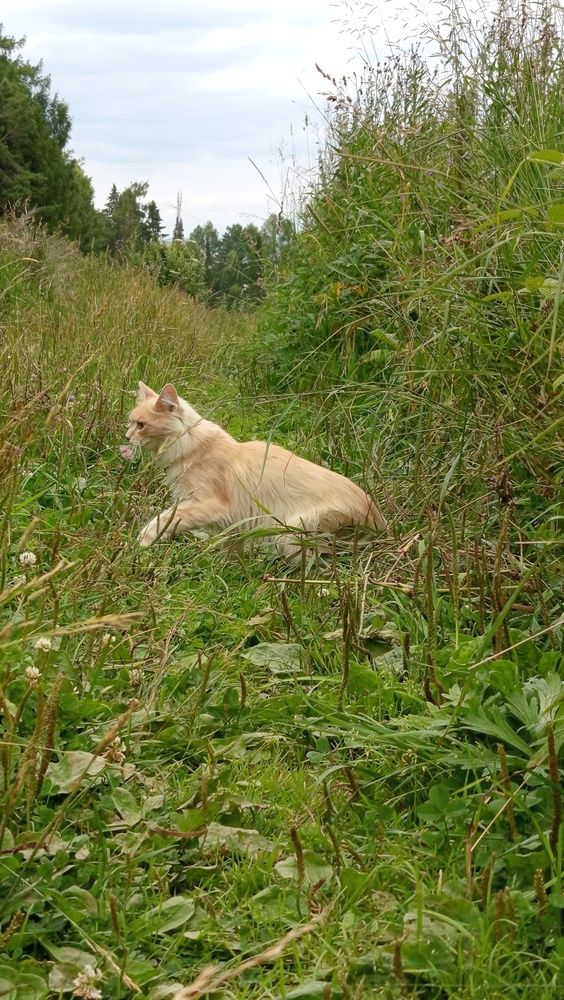 Photograph by Екатерина Казырицкая