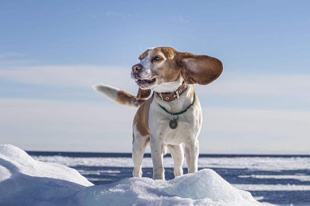 Photograph by Юлия Куликова