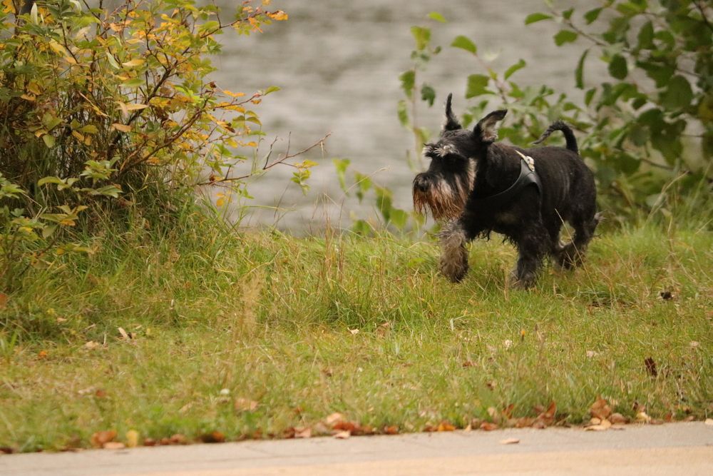 Photograph by Екатерина Александровна