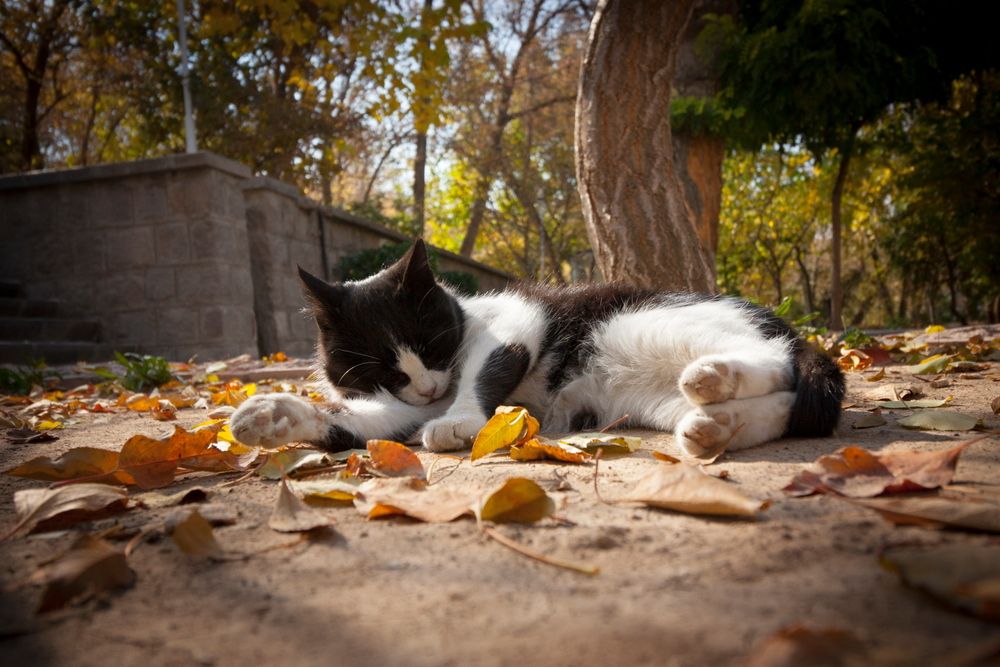 Photograph by Mohammad Ghadamkheir