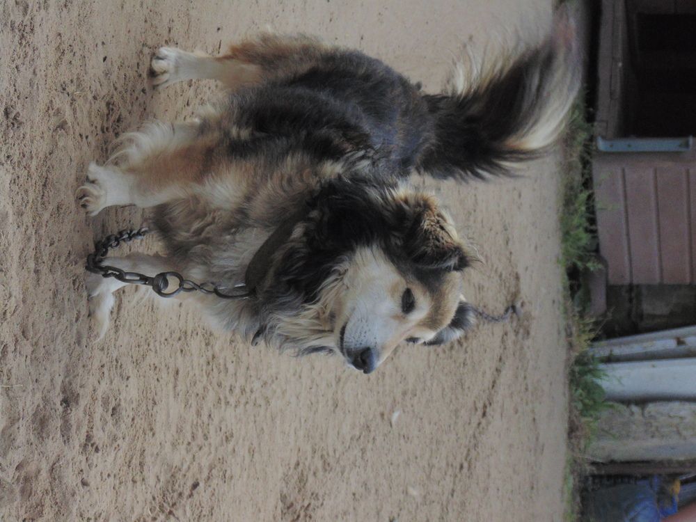 Photo #12804020