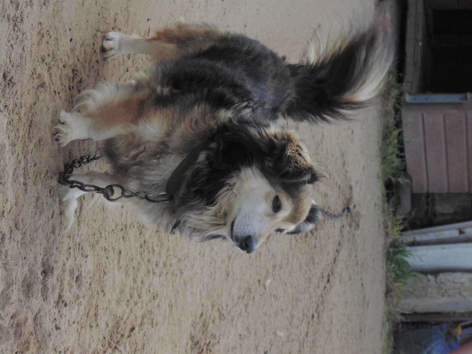 Photo #12804020