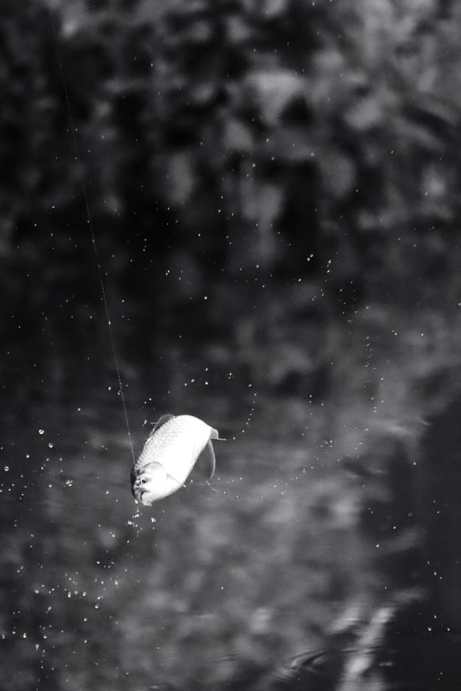 Photograph by Екатерина Александровна