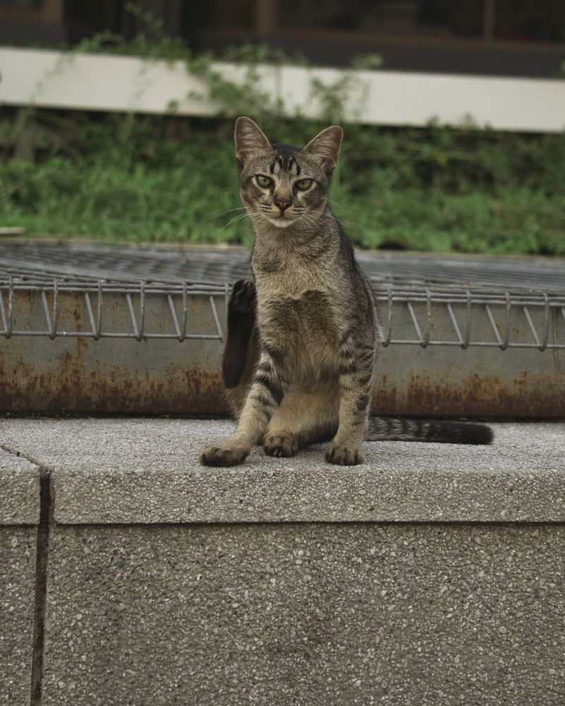 Фотография автора Nam Phạm