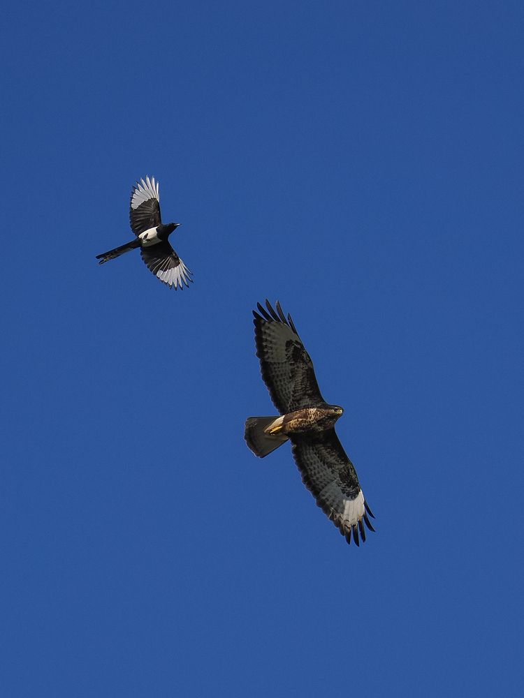 Photograph by Георгий Акопджанов