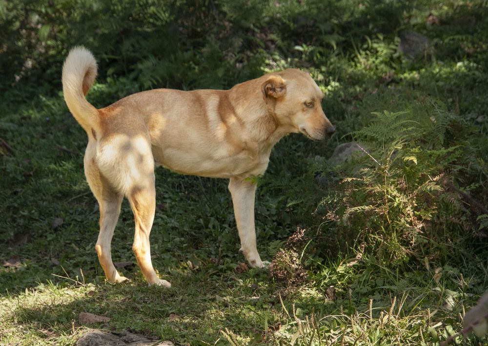 Photograph by Sergej