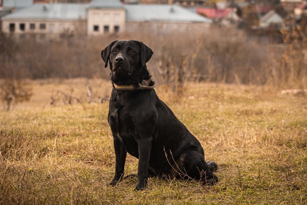 Photograph by Мария Юшина