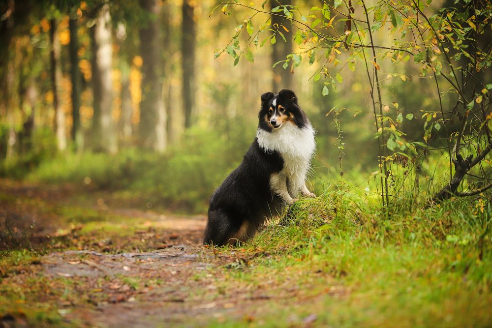 Photograph by Татьяна Григорчак