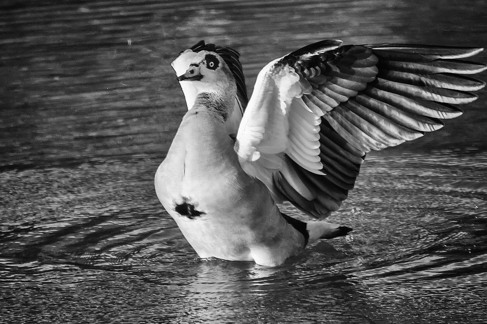 Фотография автора Александр