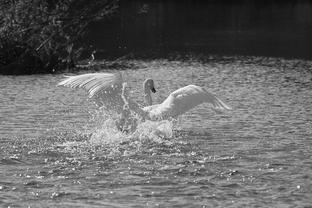 Фотография автора IRINA FILIPPOVA