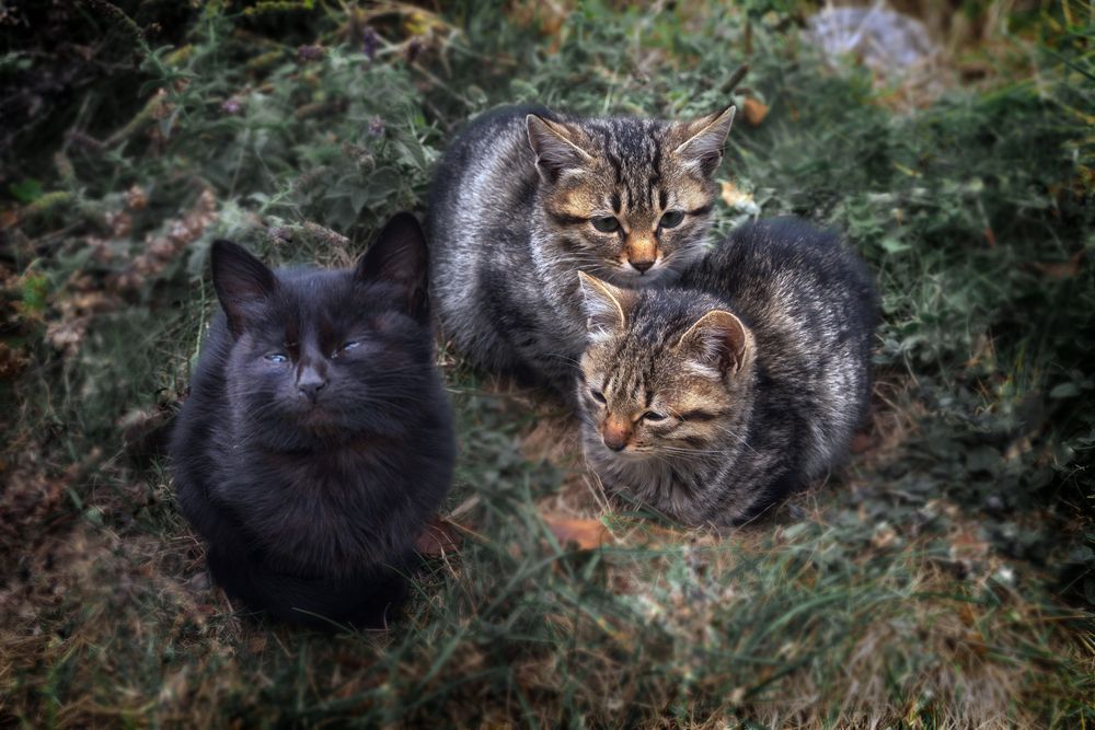 Photograph by Ivanka Iantcheva