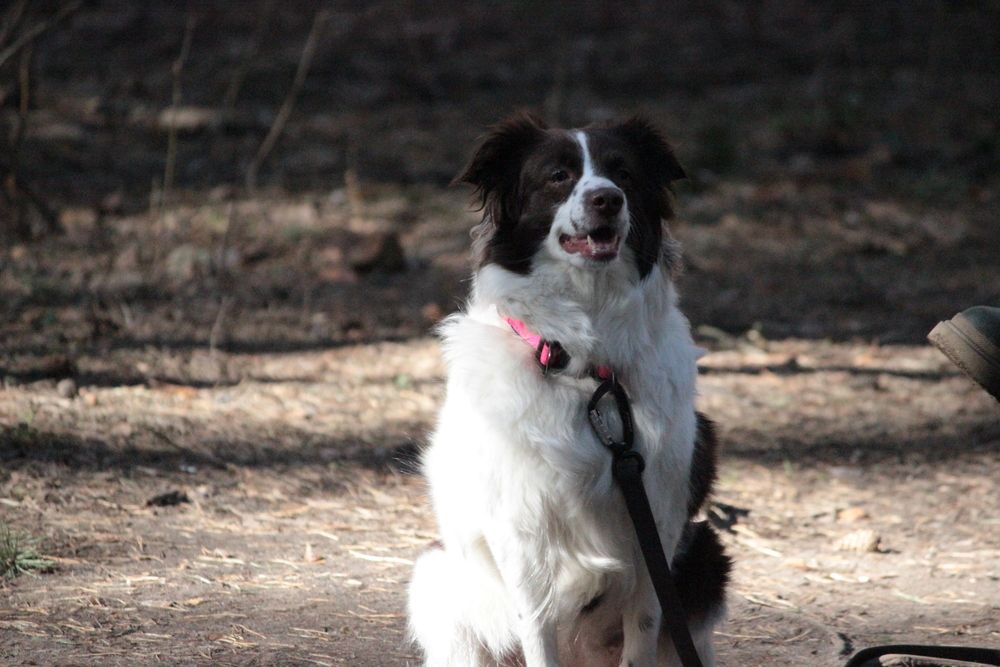 Photograph by Екатерина Александровна