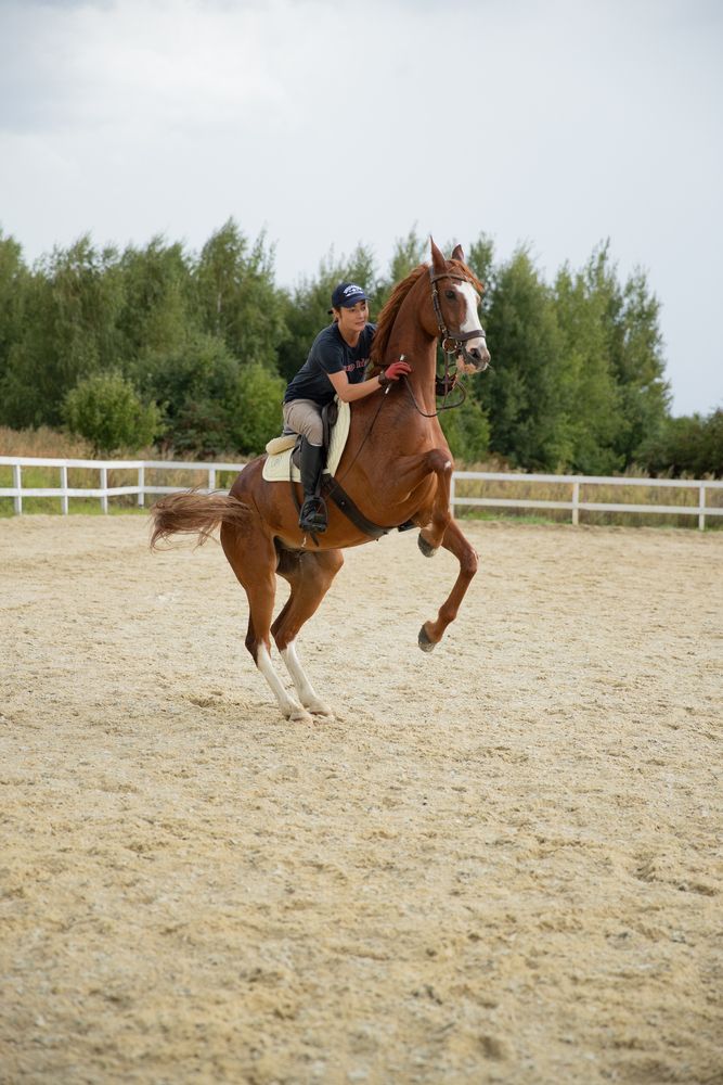 Photograph by Юлия Чернышкова