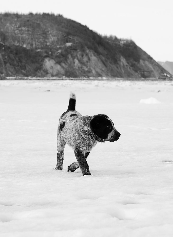 Photograph by Лариса Ким