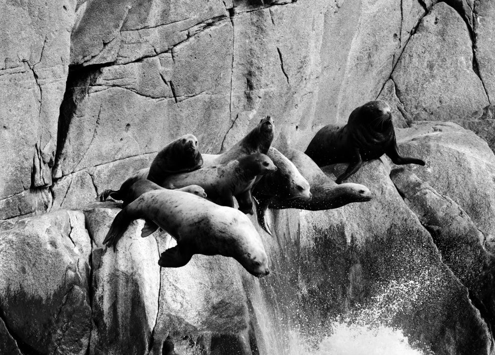 Photograph by Лариса Ким