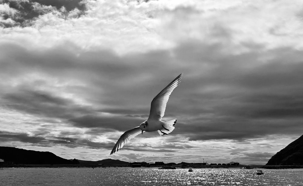 Photograph by Лариса Ким