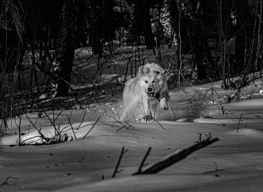 Photograph by Ольга Лобова
